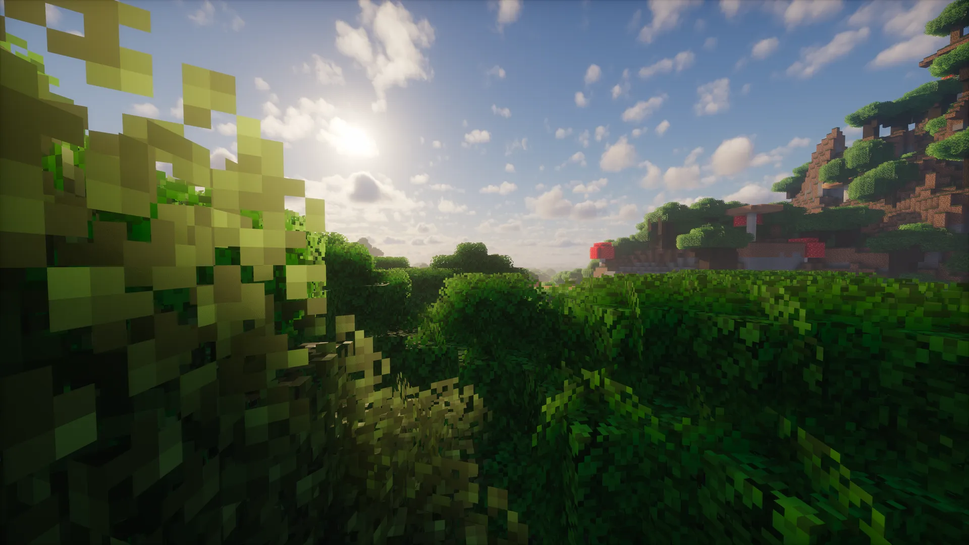 A screenshot of the Better Leaves resourcepack in action