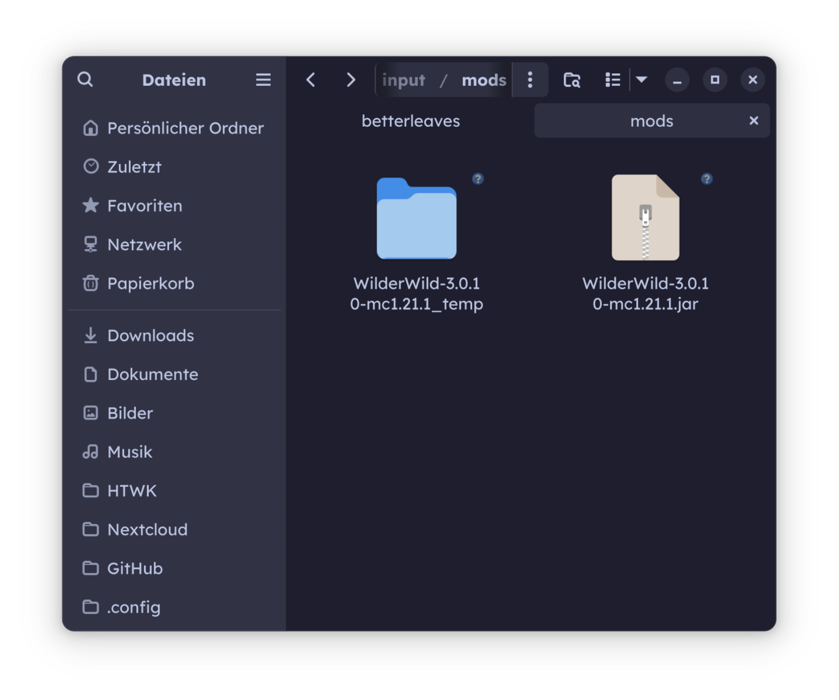 An overview of the input/mods folder, showing the automatic unpacking process